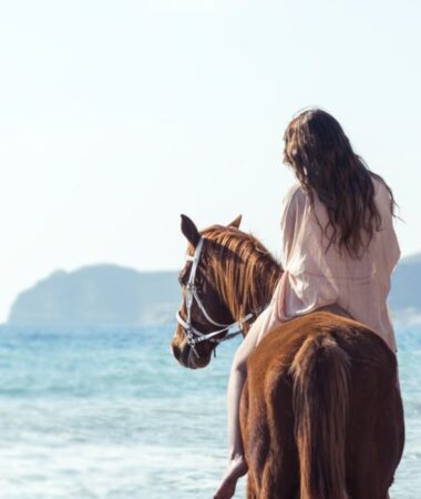 Santorini: Horse Riding Trip to Black Sandy Beach ( € 85 per person )